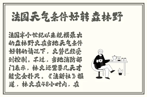 欠C的玩意SB就是用来C的HI